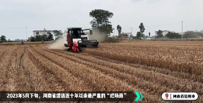 麦收大会战！NG官网收获机忙！忙！忙！