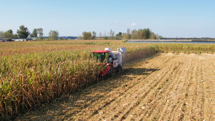 秋分“第一单”，NG官网“丰”景正当时
